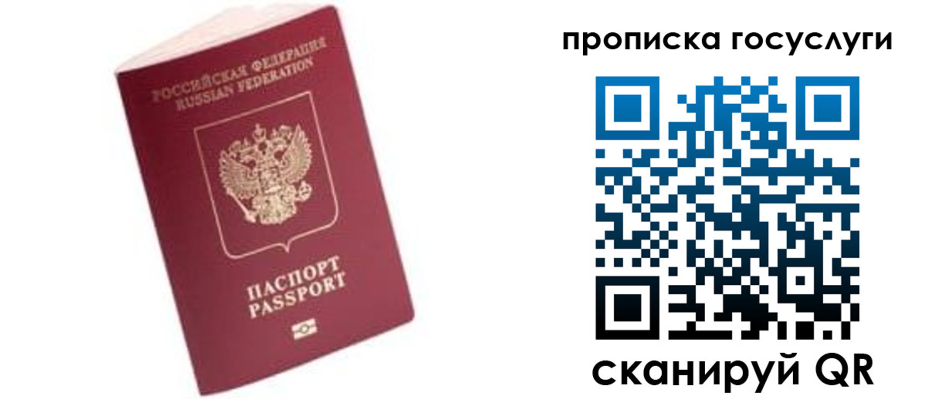 прописка в Приозерске